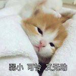 可怜